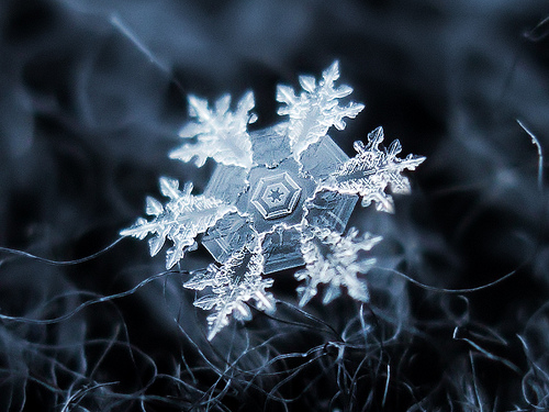 Beautiful snowflake Beautiful snowflake