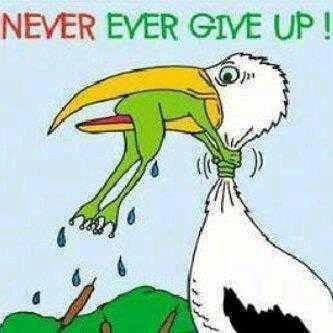 never give up