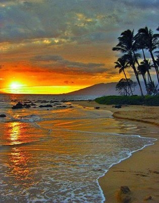 Beautiful Tropical Sunset