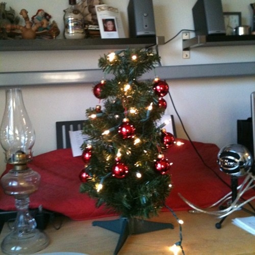 Little apartment tree