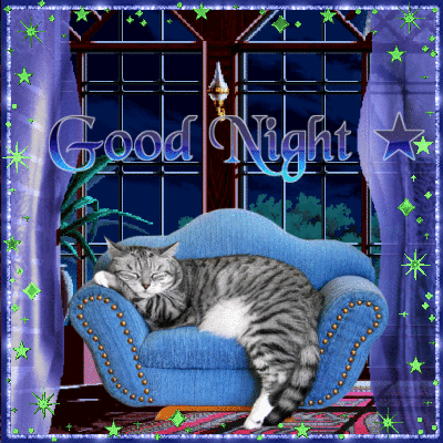 Tired Cat On Couch - Good Night Gif Pictures, Photos, and Images for  Facebook, Tumblr, Pinterest, and Twitter