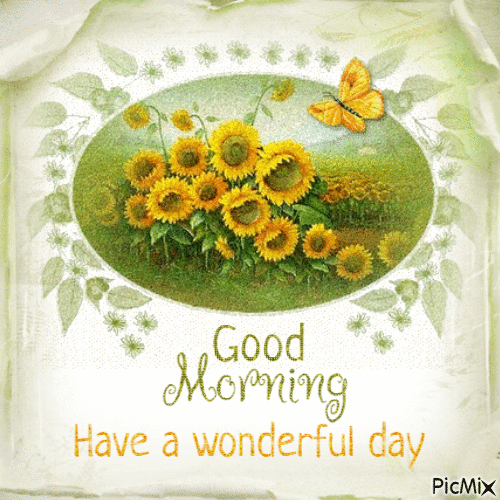 Sunflower Field Good Morning, Have A Wonderful Day Pictures, Photos