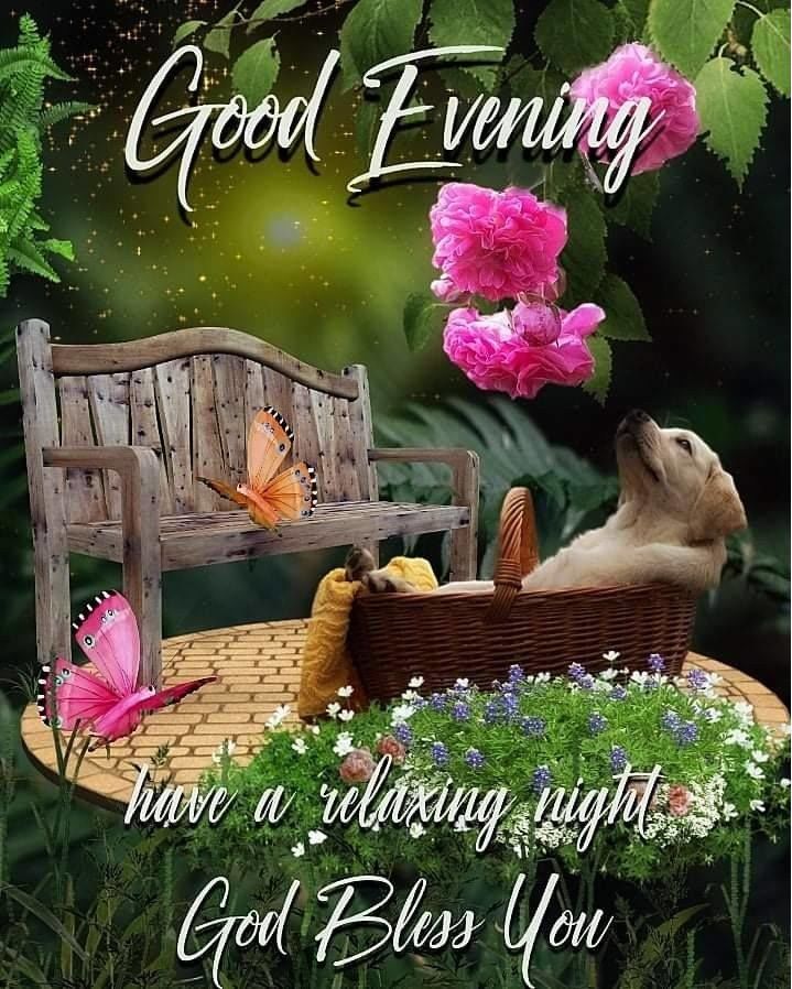 Relaxing Night And Good Evening Quote Pictures, Photos, and Images for