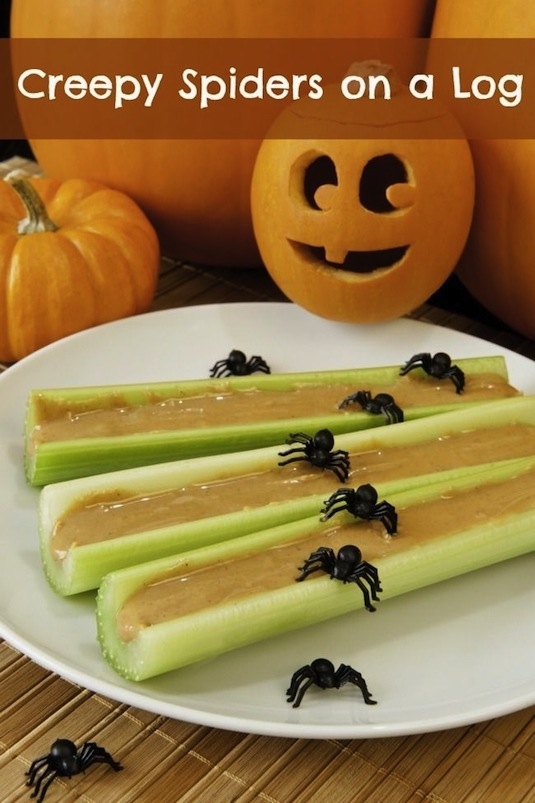 Creepy spiders on a log Creepy spiders on a log