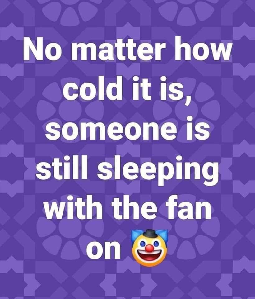 No Matter How Cold It Is, Someone Is Still Sleeping With The Fan On
