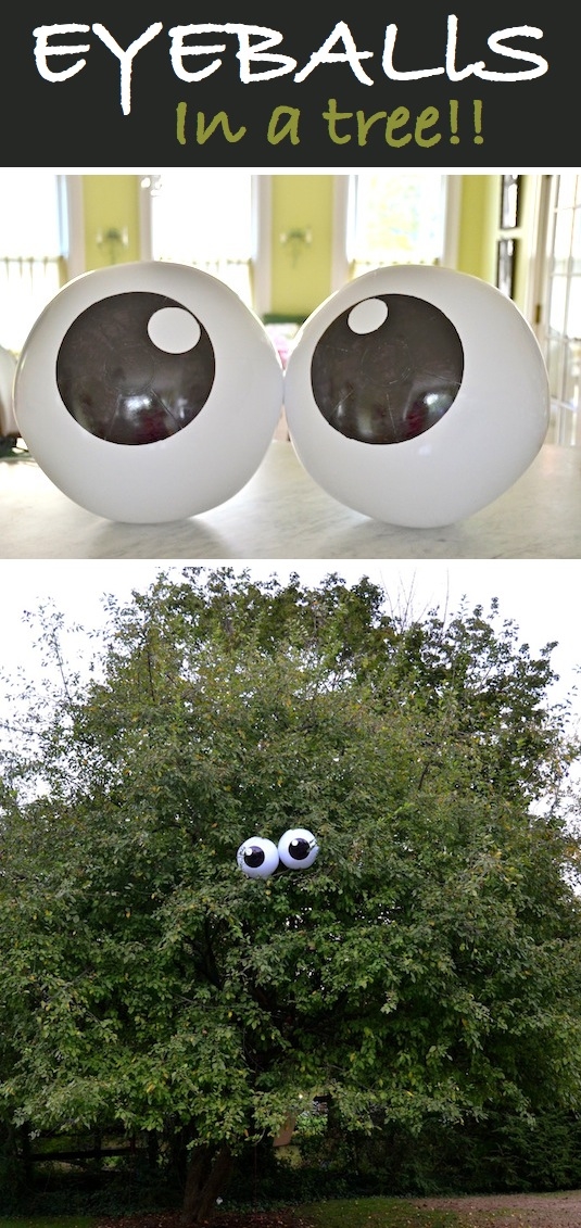 Eyeballs in a tree