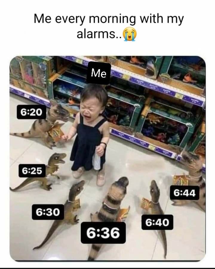 Me Every Morning With My Alarms Pictures, Photos, and Images for