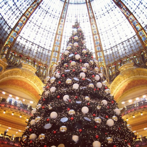Christmas tree in Paris Christmas tree in Paris