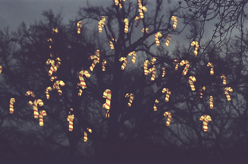 Candy Cane lights
