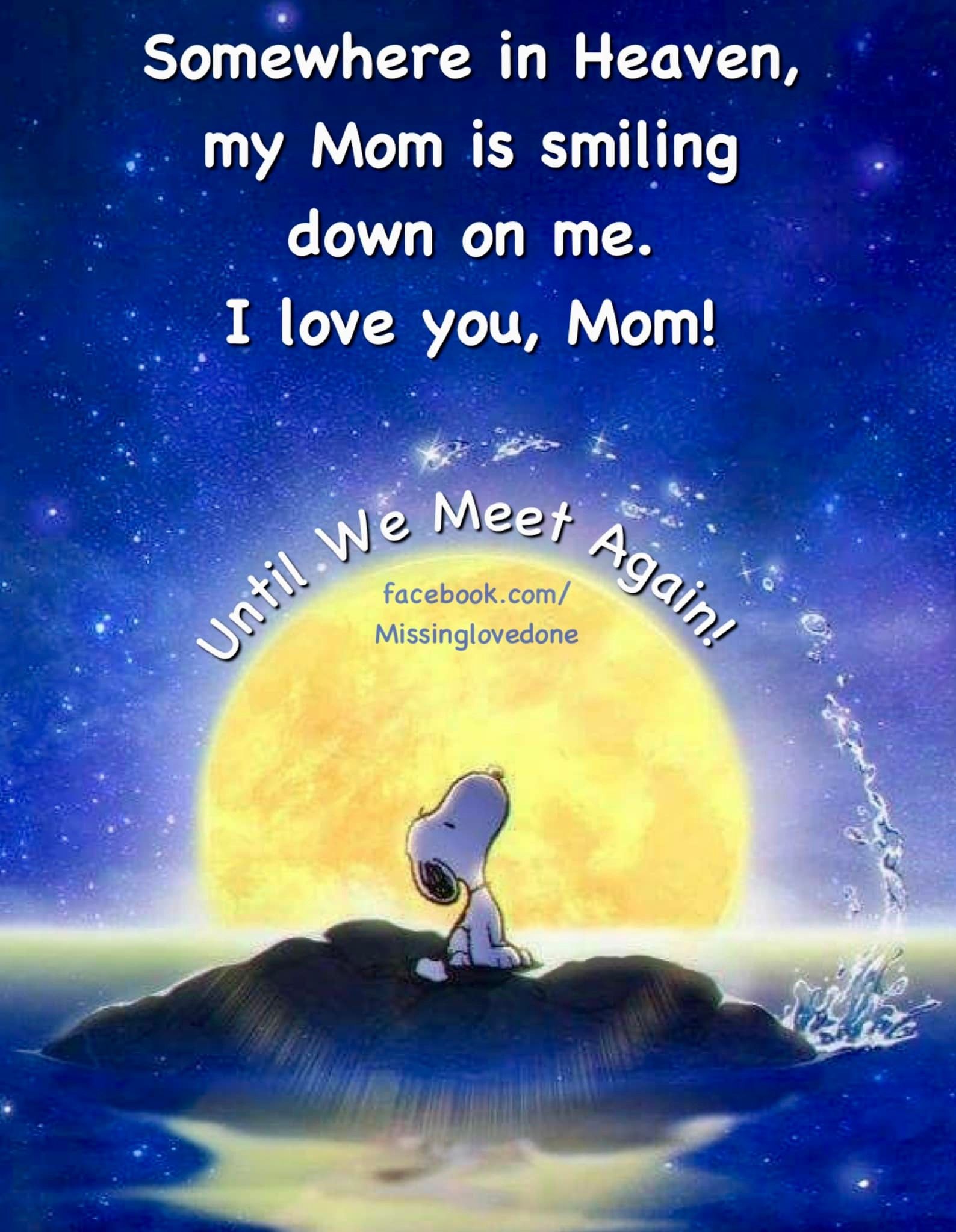 Somewhere In Heaven, My Mom Is Smiling Down On Me. I Love You, Mom