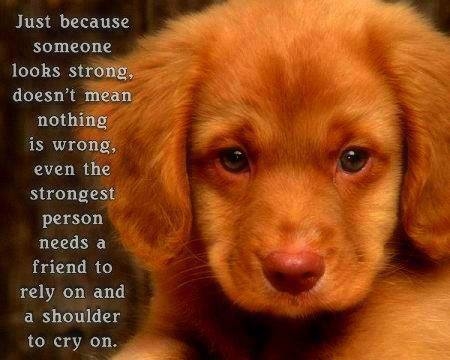 even the strongest people need a friend even the strongest people need a friend