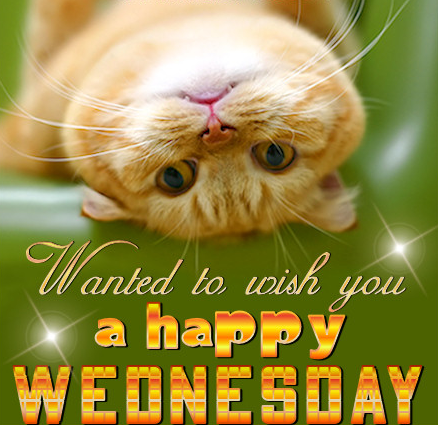 happy wednesday