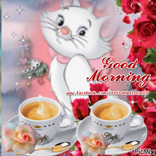 Good Morning Cat Coffee