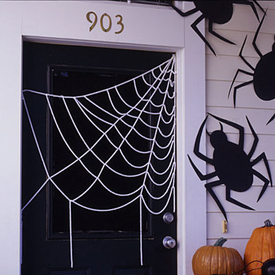 Super sized spiders