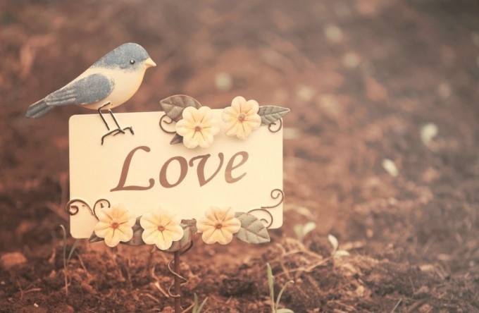 love photo