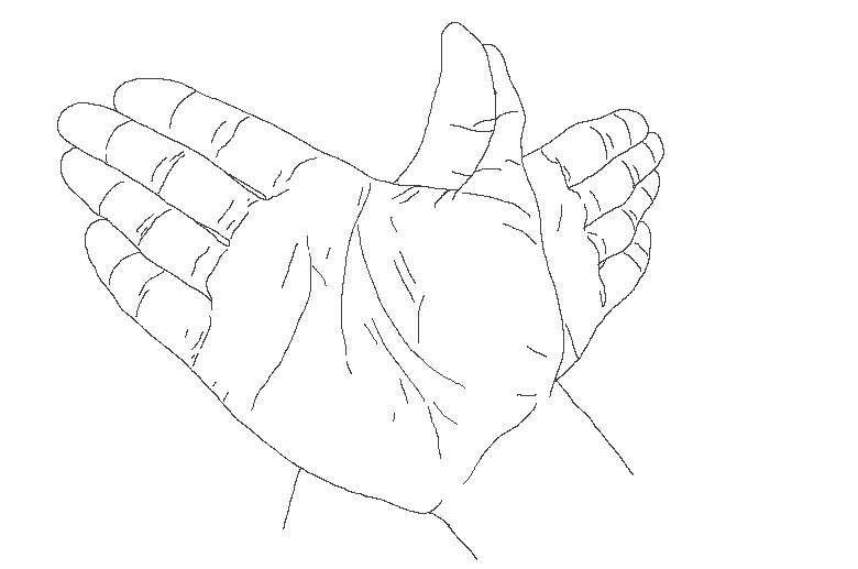 Making A Bird Making A Bird