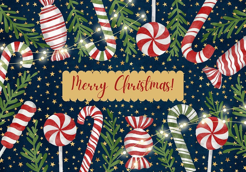 Candy Cane And Pine - Merry Christmas Wallpaper Pictures, Photos, and