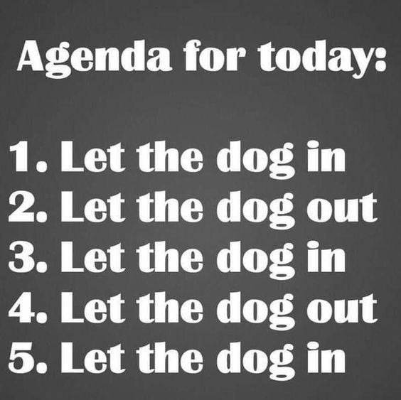 The Agenda For Today Pictures, Photos, and Images for Facebook, Tumblr