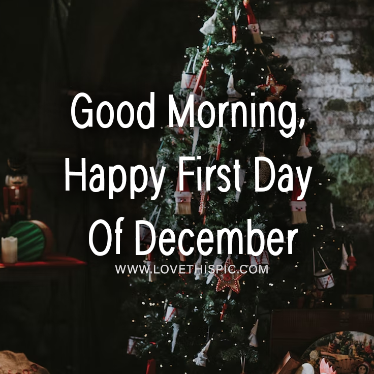 Decorate Christmas Tree Good Morning, Happy First Day Of December
