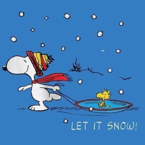 Snoopy on his house at christmas