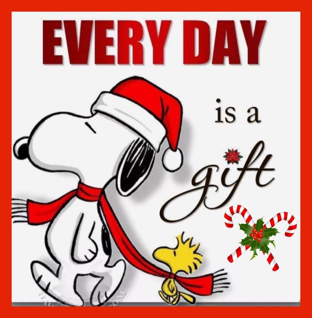 Everyday Is A Gift Pictures, Photos, and Images for Facebook, Tumblr