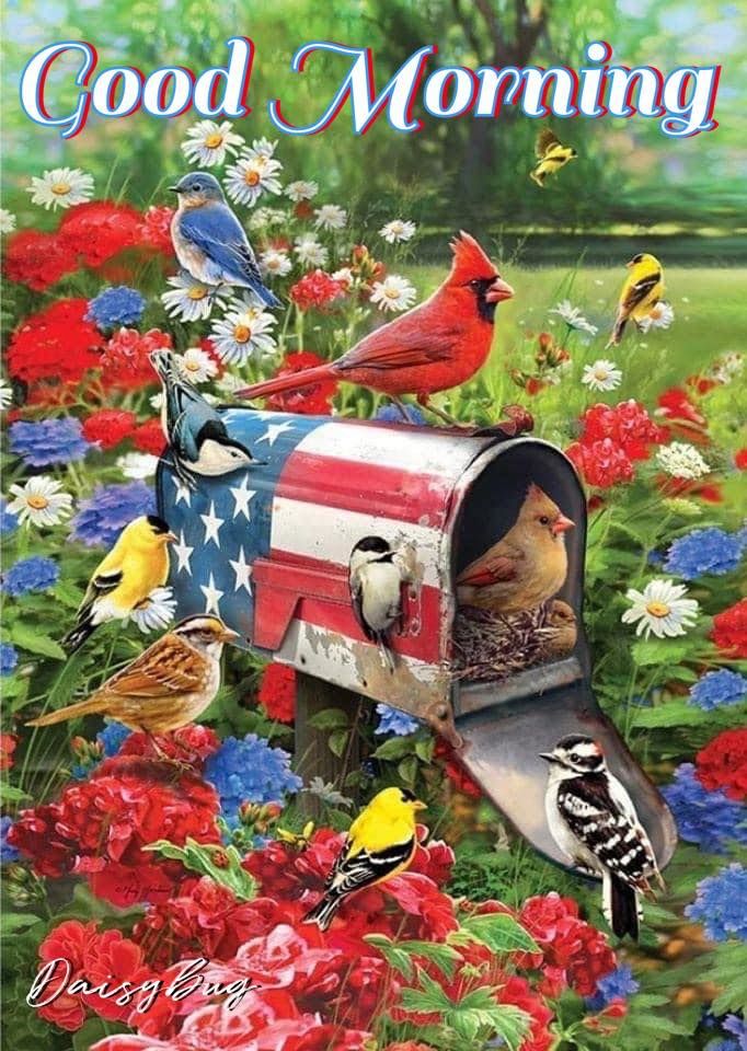 Red, White And Blue Good Morning Quote Pictures, Photos, and Images for