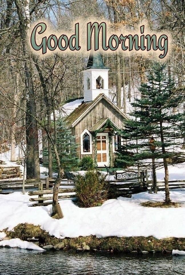 Cabin In Forest - Good Morning Pictures, Photos, and Images for