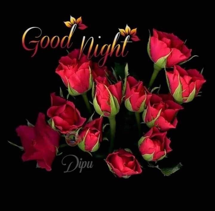 Red Rose Good Night Message Pictures, Photos, and Images for Facebook