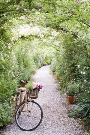 Secret garden