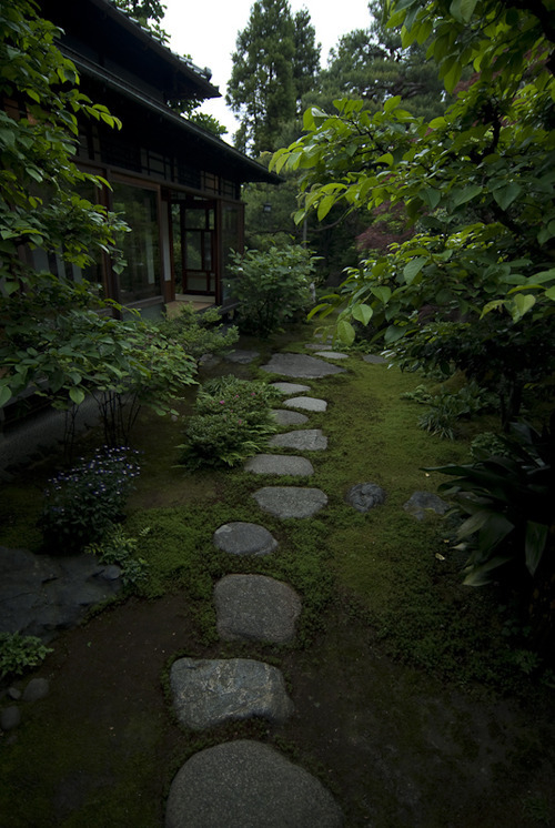 Garden stepping stones Garden stepping stones