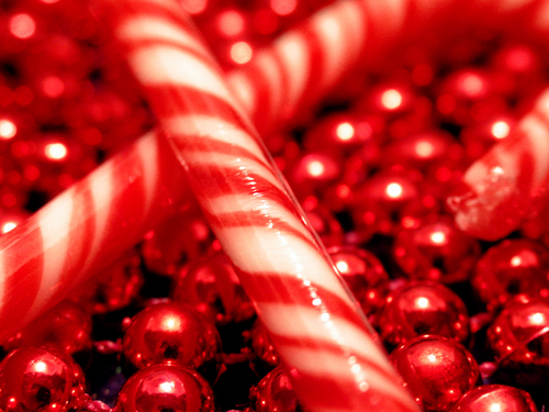 Candy Cane Candy Cane
