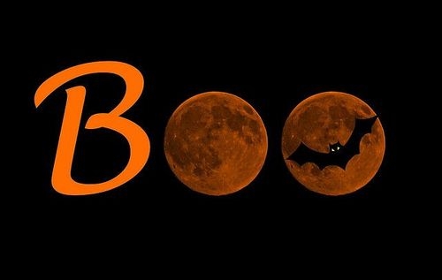 Boo Boo