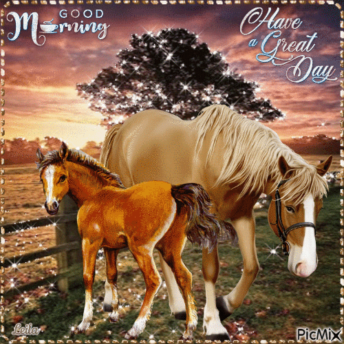 Beautiful Horses Good Morning. Have A Great Day Pictures, Photos, and