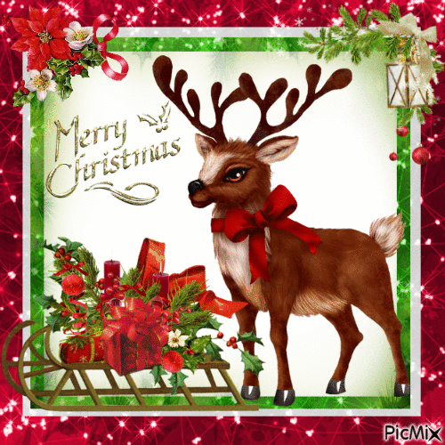 Christmas Reindeer Merry Christms Pictures, Photos, and Images for
