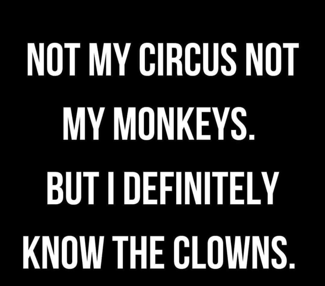 Not My Circus, Not My Monkeys. But I Definitely Know The Clowns Pictures, Photos, and Images for