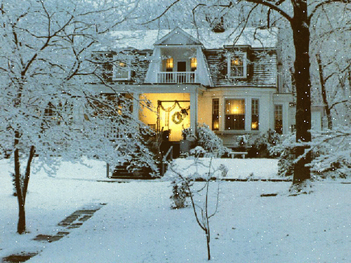 Winter Home