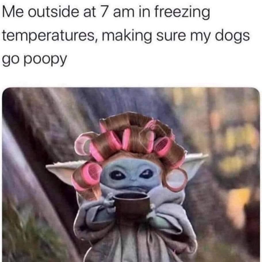 Me Outside At 7am In Freezing Temperatures Making Sure My Dogs Go Poopy ...