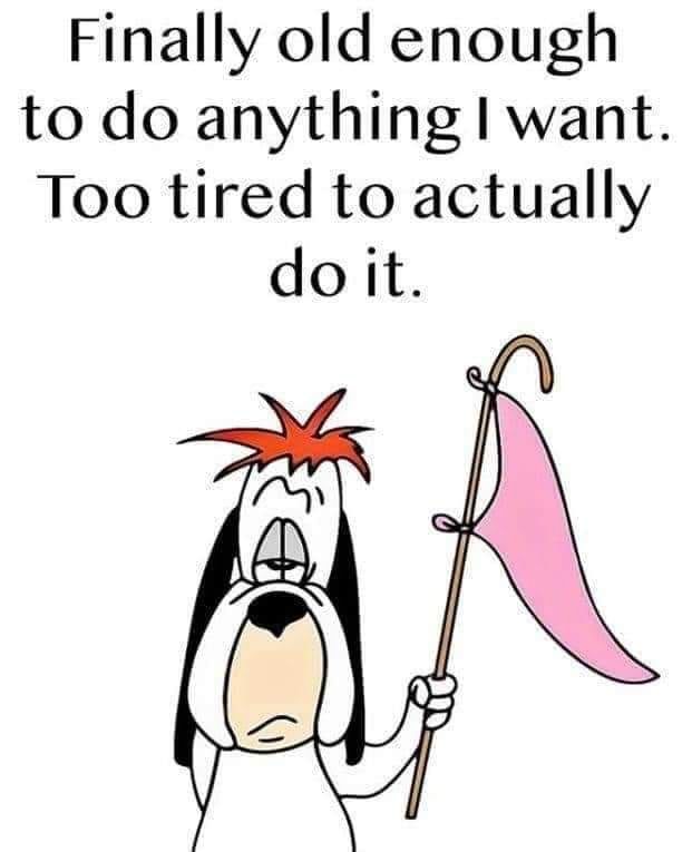 Finally Old Enough To Do Anything I Want. Too Tired To Actually Do It