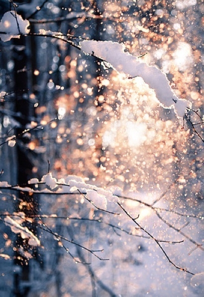 New snow