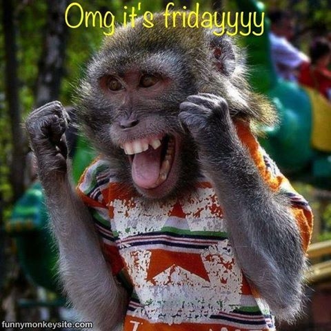 omg its friday
