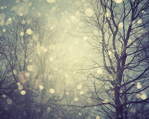 Snow bokeh Snow bokeh