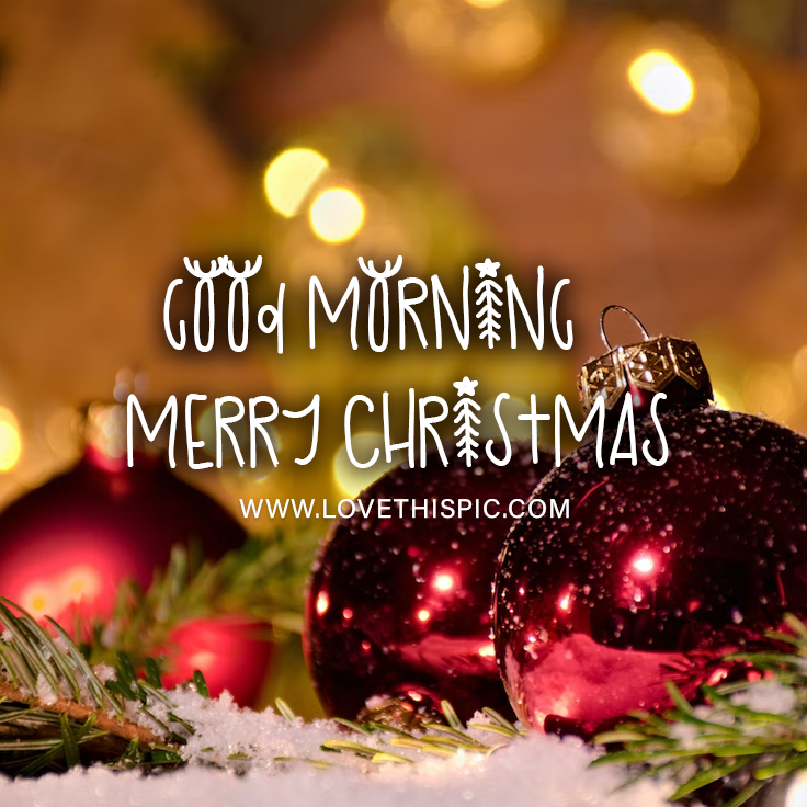 Good Morning, Merry Christmas Greeting Pictures, Photos, and Images for