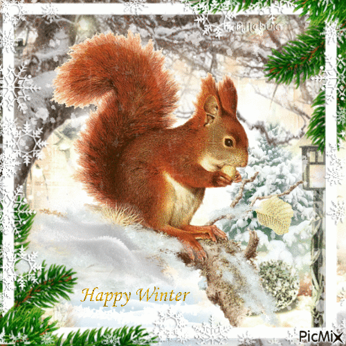 Happy Winter Squirrel Gif Pictures, Photos, and Images for Facebook