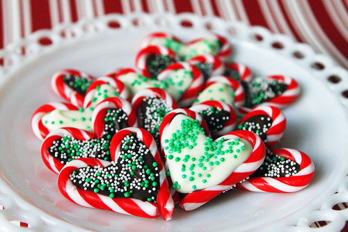 Candy Cane Chocolate Cookies Candy Cane Chocolate Cookies