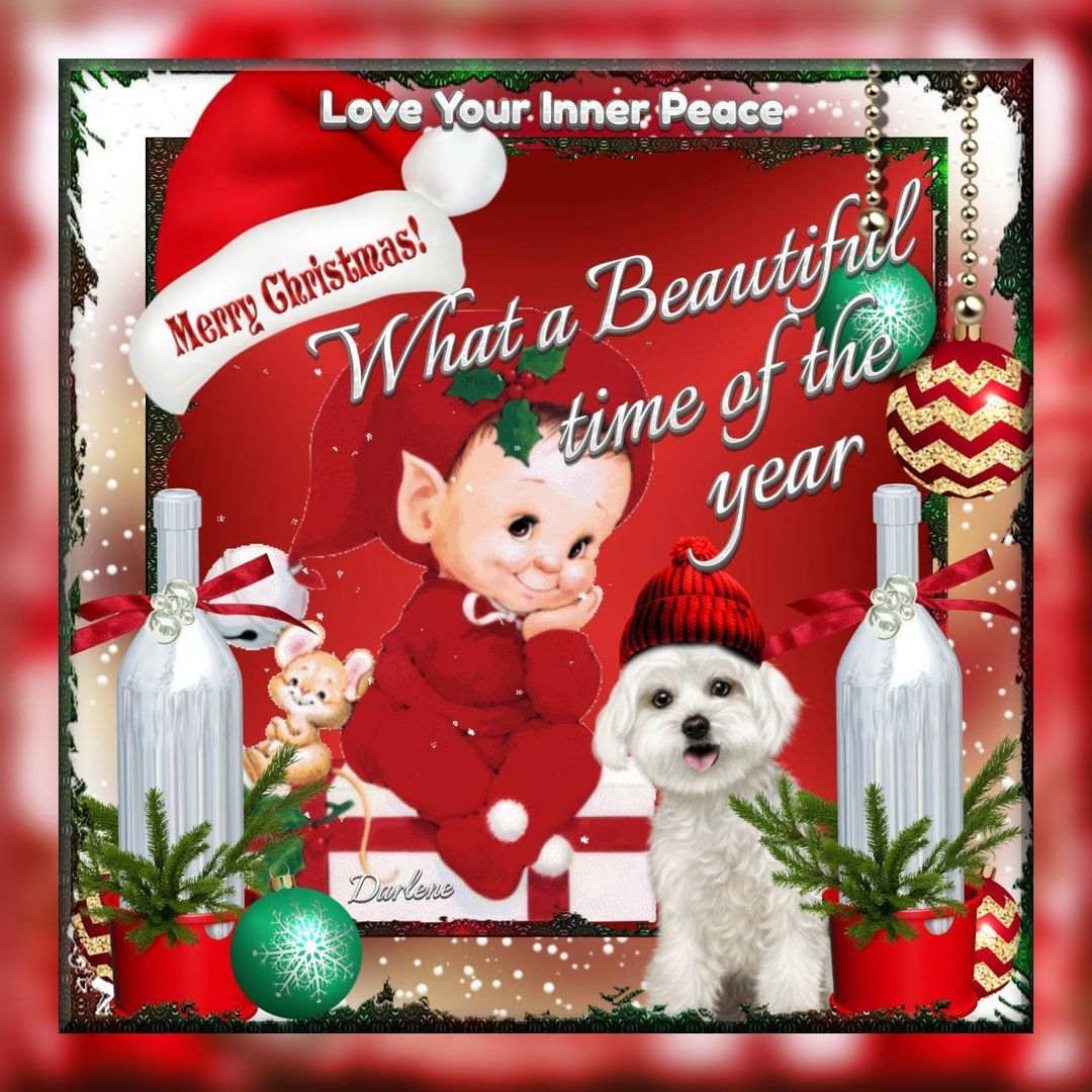 What A Beautiful Time Of The Year, Merry Christmas Pictures, Photos, and Images  for Facebook, Tumblr, Pinterest, and Twitter, image size:1080x1080