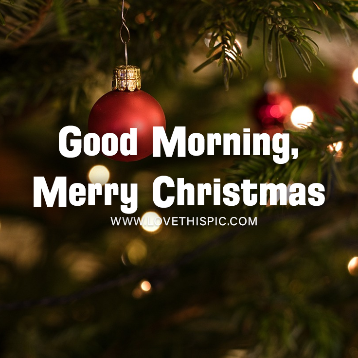 Good Morning, Merry Christmas Pictures, Photos, and Images for Facebook