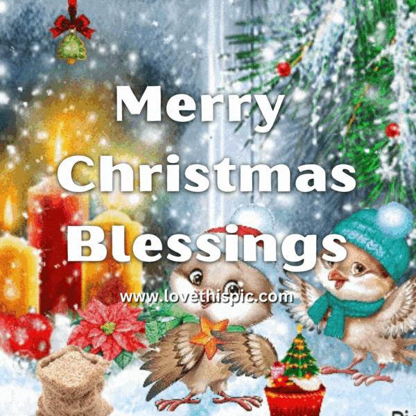 Holiday Birdy Merry Christmas Blessings Pictures, Photos, and Images