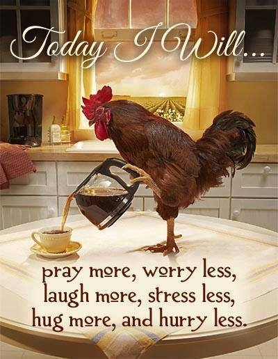 today I will