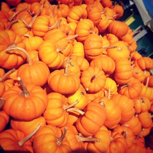 Pumpkins