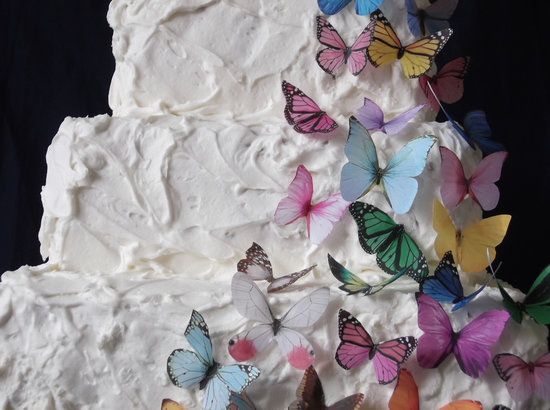 Butterfly party Butterfly party